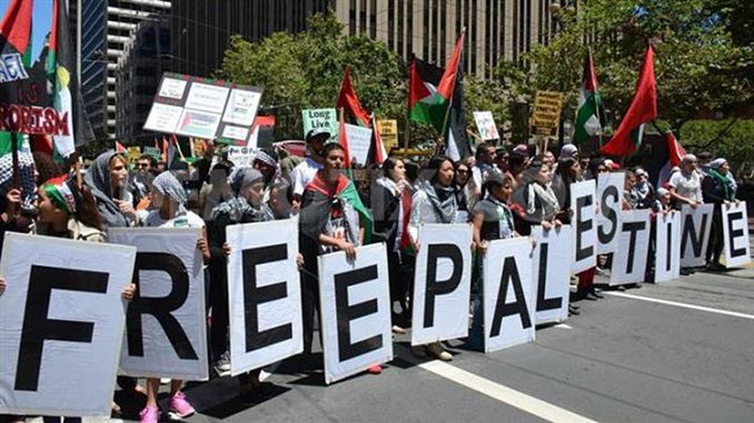 12-palestina